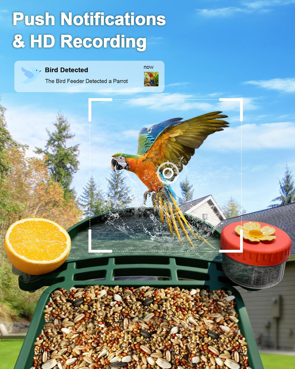 VISIOGEAR detecting a squirrel and activating deterrent to protect birdseed