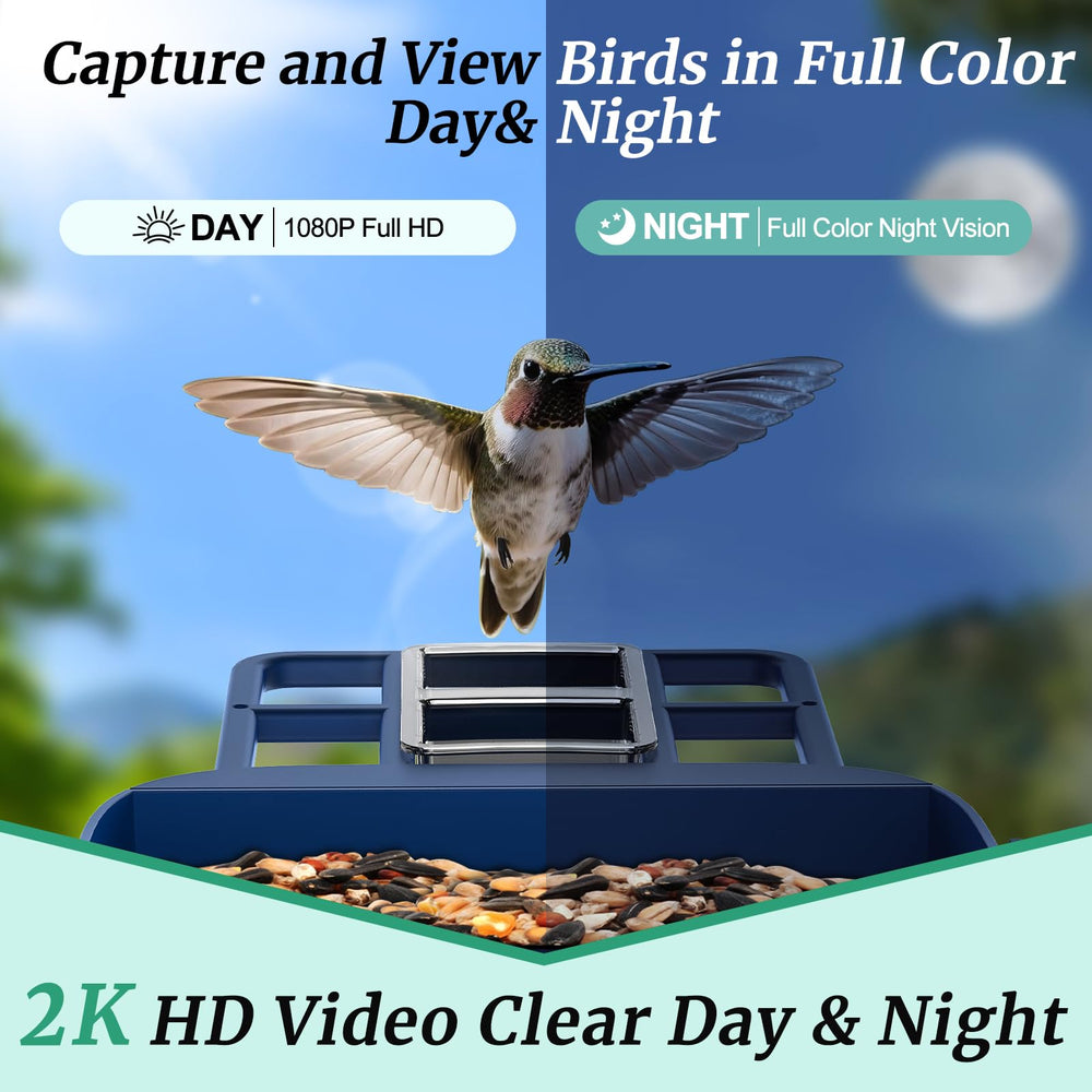 VistaFledge feeder in use with birds, captures live backyard moments