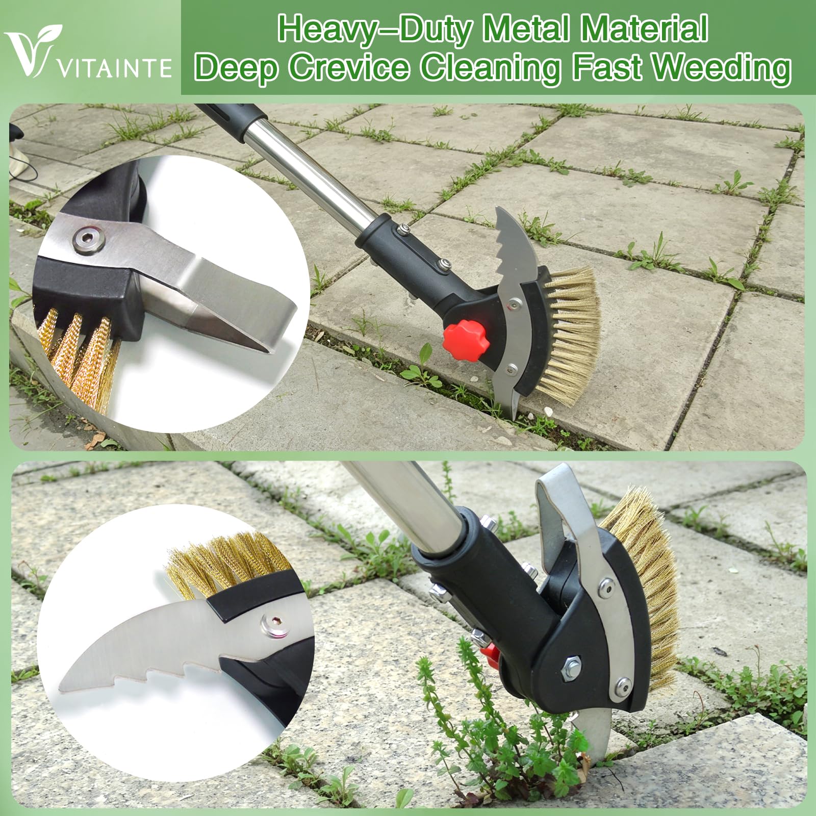 VITAINTE metal wire brush detail removing moss and debris