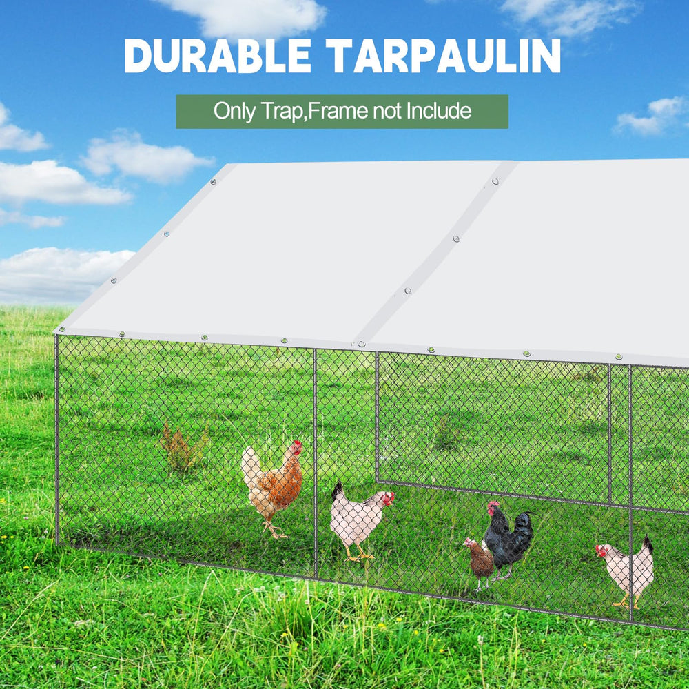 VitalCozy backyard scene with cover shading coop, showing comfort and practical shelter