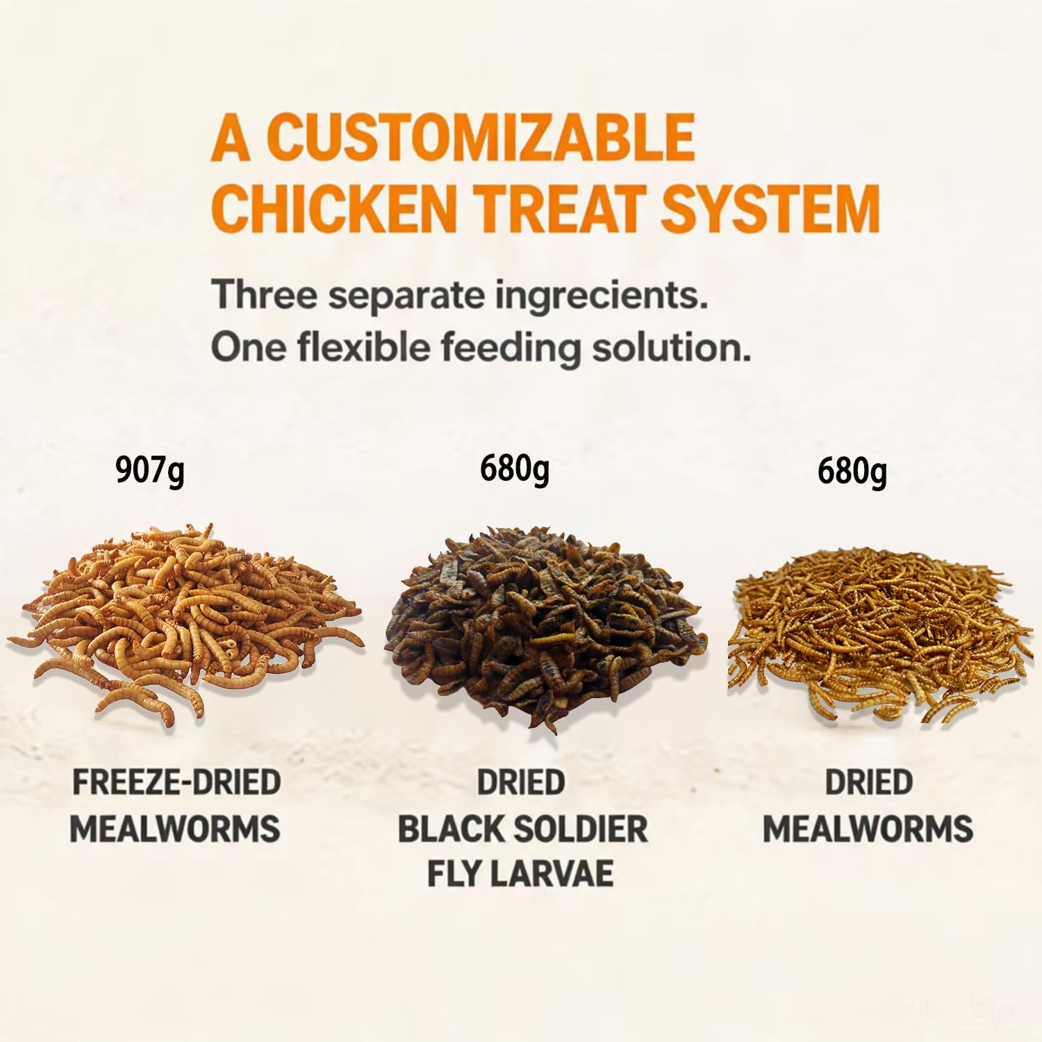 VITAMORSEL close-up of mixed larvae and mealworms showing texture appeal