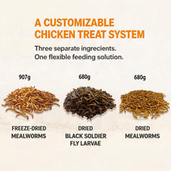 VITAMORSEL close-up of mixed larvae and mealworms showing texture appeal