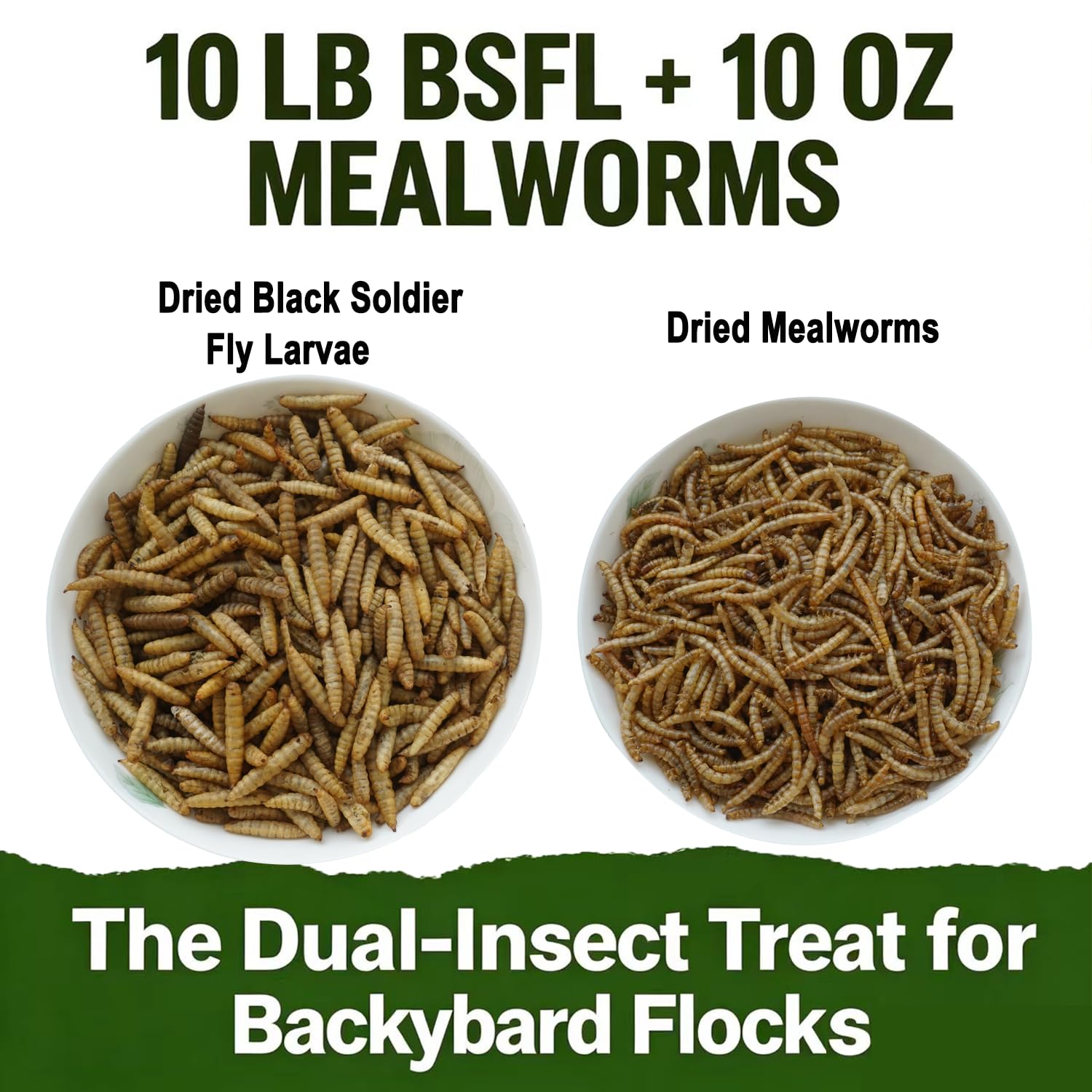 VITAMORSEL close-up dried black soldier fly larvae texture for calcium