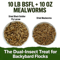 VITAMORSEL close-up dried black soldier fly larvae texture for calcium