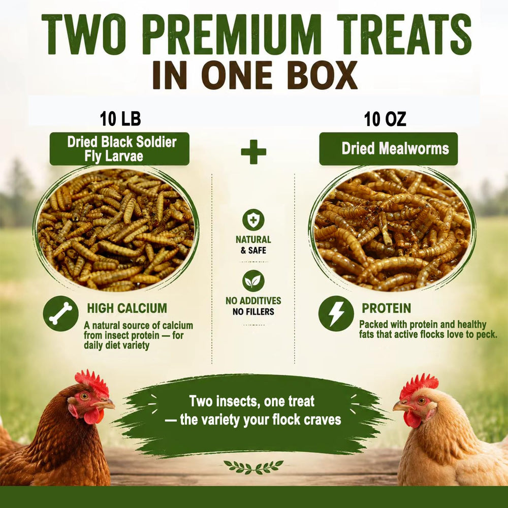 VITAMORSEL close-up dried mealworms detail with protein-packed benefit