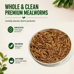 VITAMORSEL close-up of dried mealworms texture, high-protein appeal for daily feeding