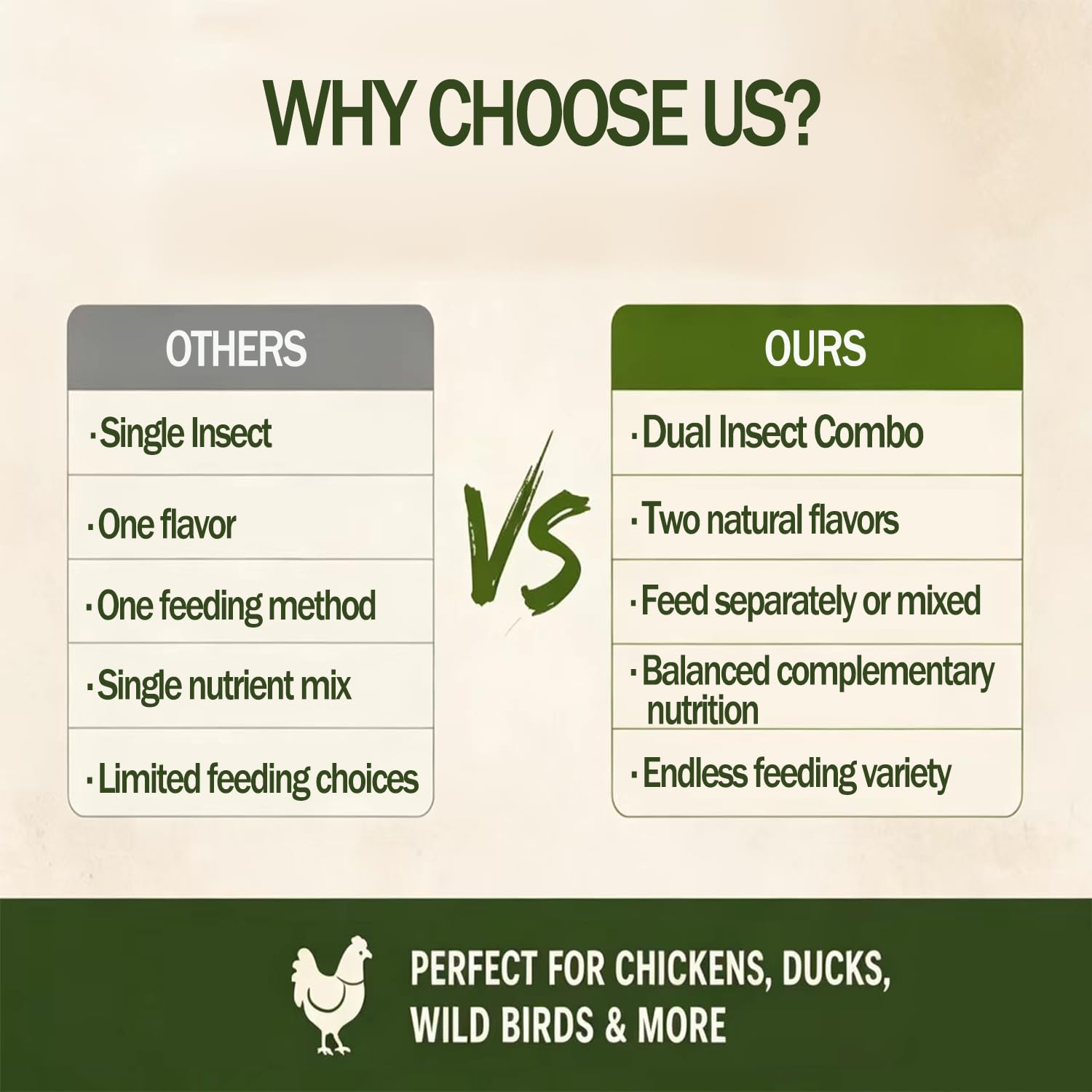 VITAMORSEL insects being offered to chickens for enrichment and nutrition