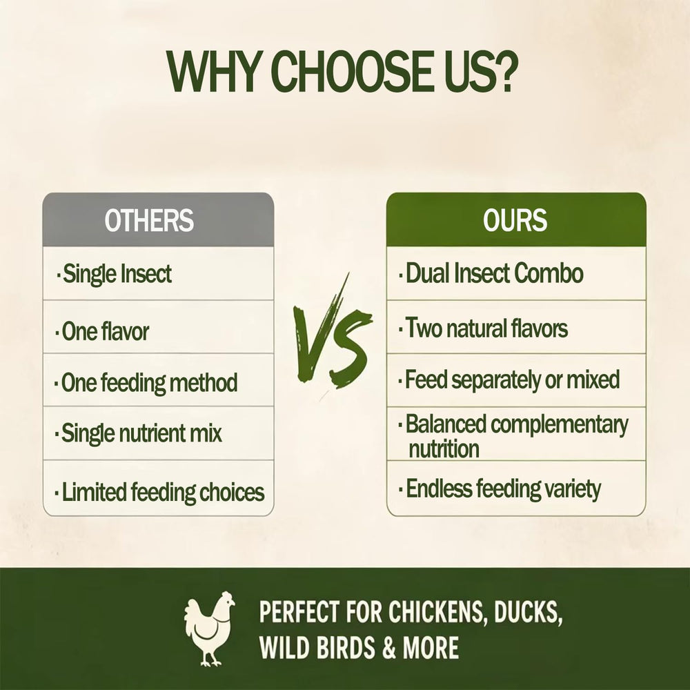 VITAMORSEL insects being offered to chickens for enrichment and nutrition