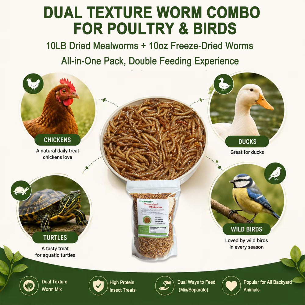 VITAMORSEL used in a backyard flock scene, practical for multi-pet household feeding
