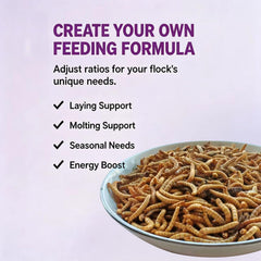 VITAMORSEL poured into bowl ready to feed, encouraging immediate interest