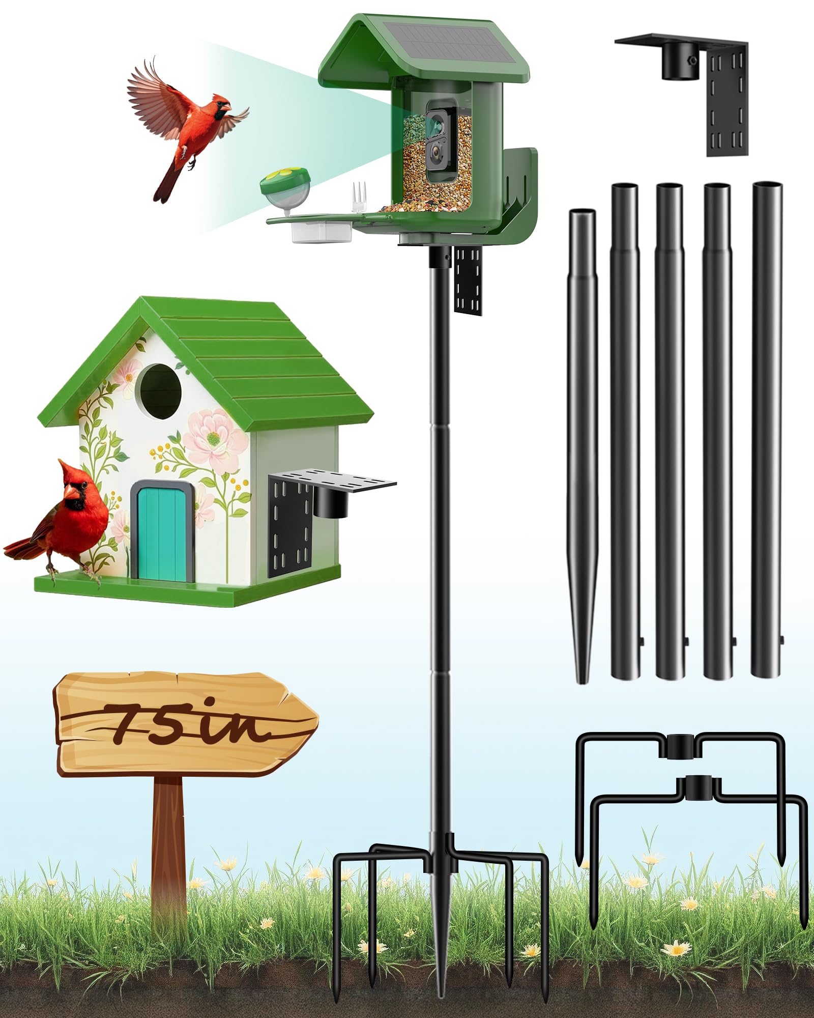 VIUBIRD front view assembled pole showing stability and height
