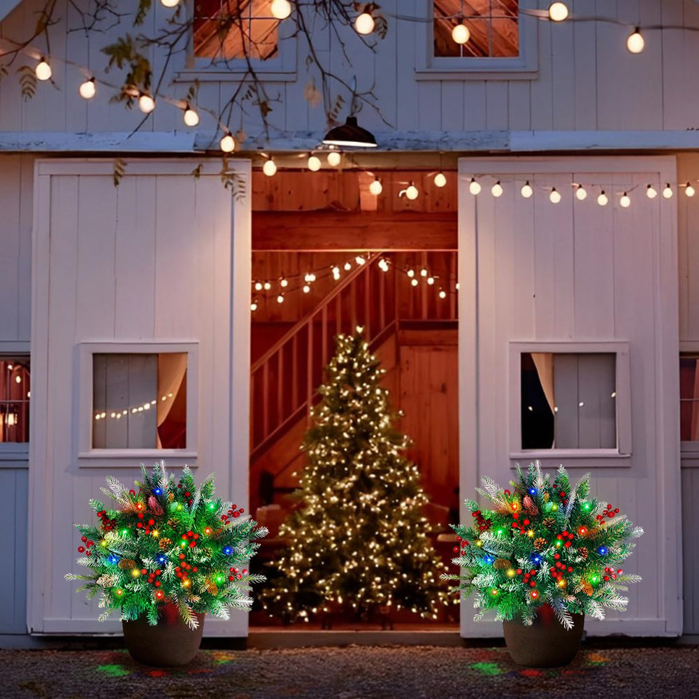 VivaPeak paired in front entryway enhancing holiday welcome atmosphere