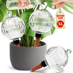 Vividaire front view of three watering globes showing tidy home decor benefit