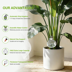 Vividaire side profile of filled globe illustrating 18 oz capacity and long watering periods