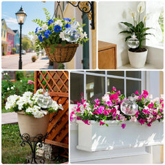Vividaire globe inserted in pot demonstrating hands-off watering and healthier soil moisture