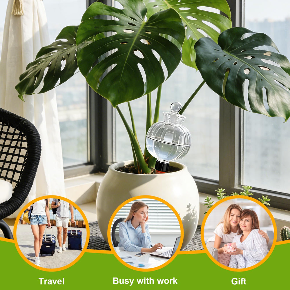 Vividaire lifestyle shelf display with globes enhancing plant decor and low-effort maintenance