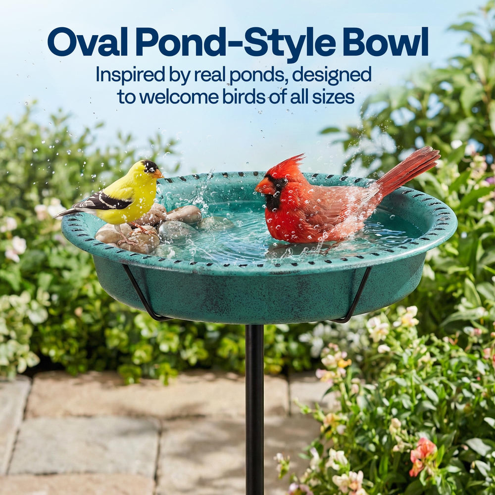 VIVOHOME oval bowl depth zones demonstrating shallow and deep areas for birds