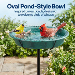 VIVOHOME oval bowl depth zones demonstrating shallow and deep areas for birds