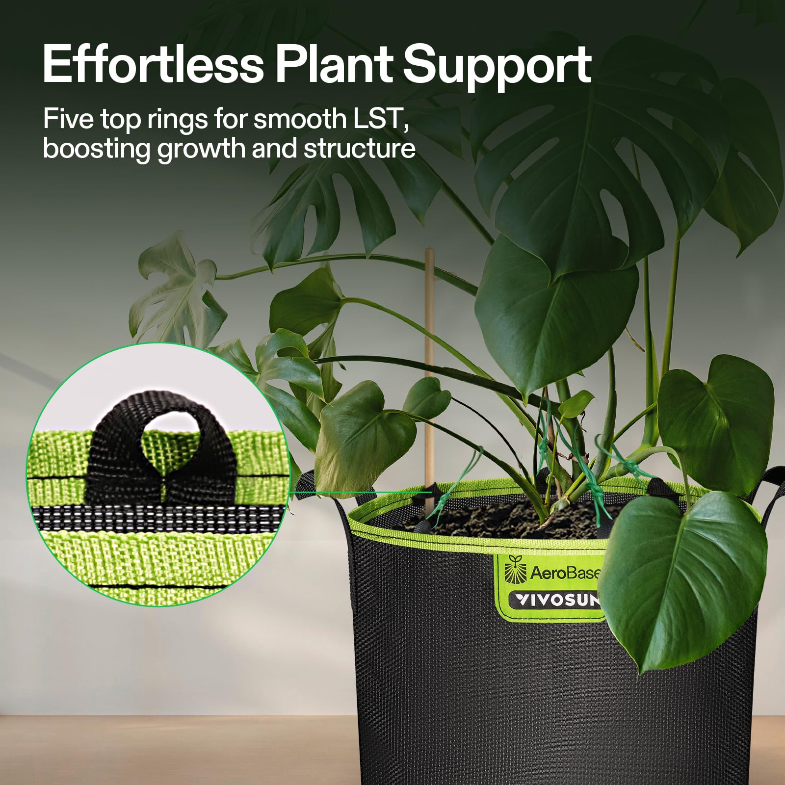 VIVOSUN grow bag in-use with tomato plant demonstrating healthy root zone benefits