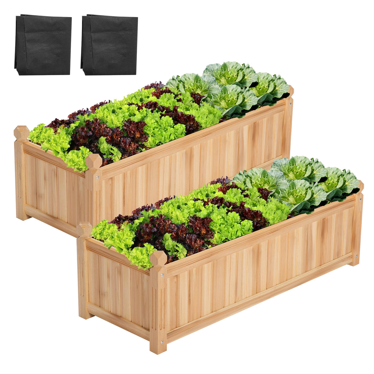 VIVOSUN front view of two planter boxes showing compact footprint and curb appeal