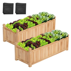 VIVOSUN front view of two planter boxes showing compact footprint and curb appeal