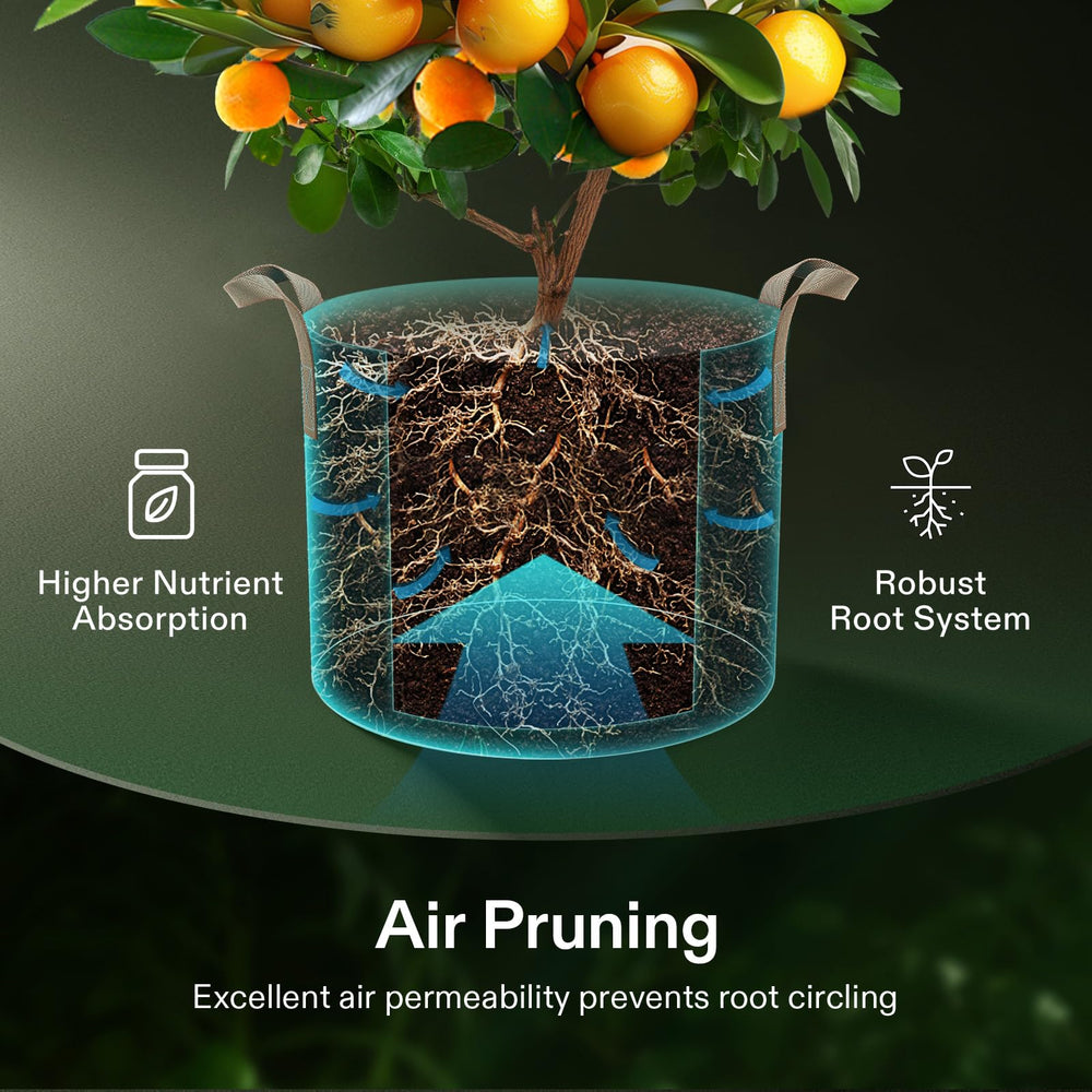 VIVOSUN 20 gallon grow bag in use with tomato plant showing healthy growth benefit