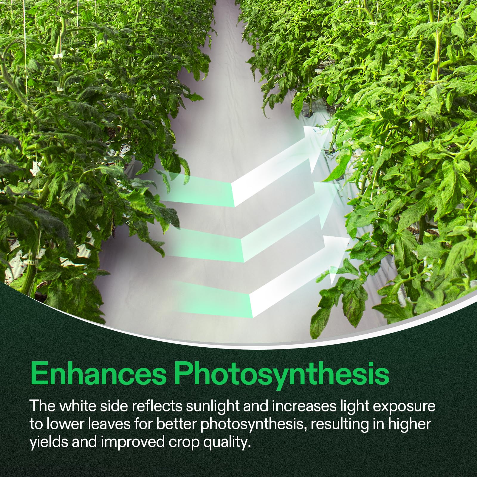 VIVOSUN film installed in a grow room enhancing light control and coverage