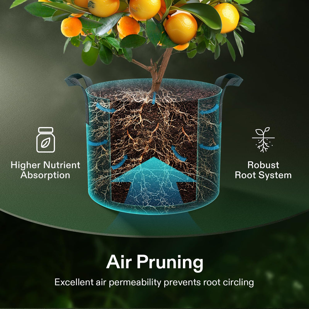 VIVOSUN grow bag in patio garden with plants showing space-saving planting benefit