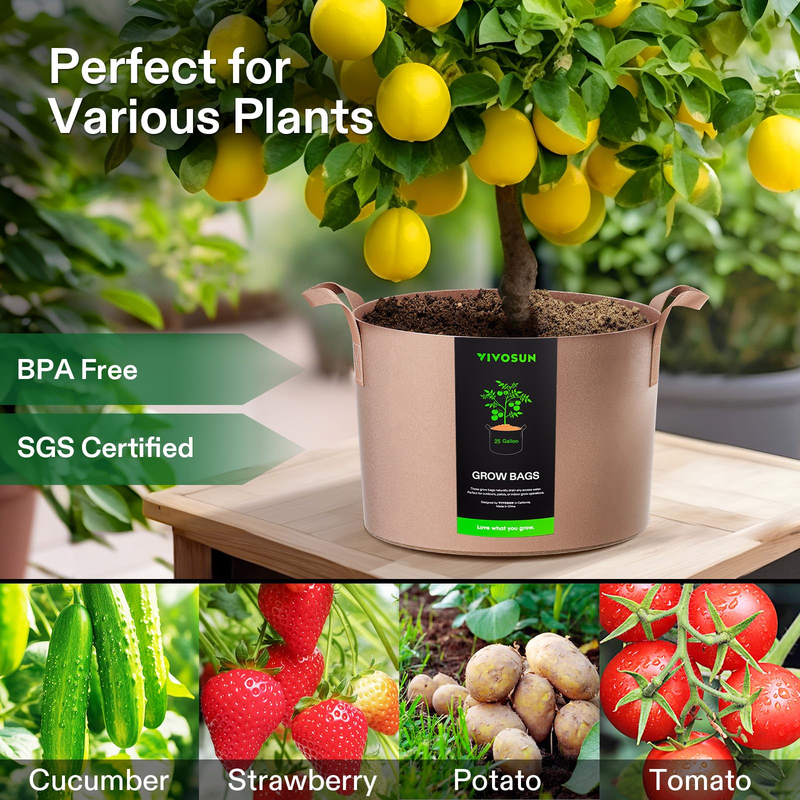 VIVOSUN fabric pots on a balcony illustrating portable gardening and space-saving benefits