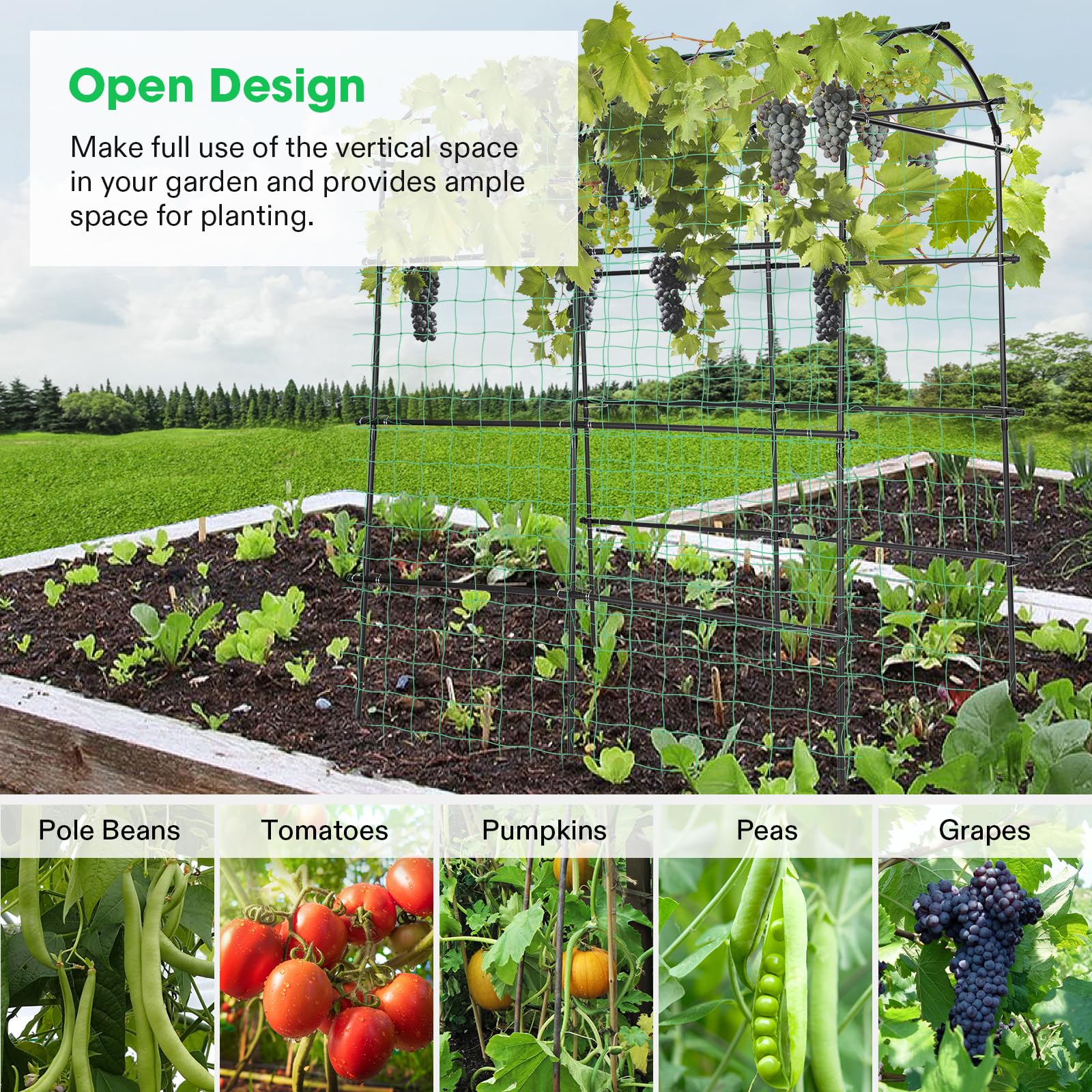 VIVOSUN trellis loaded with climbing vegetables demonstrating increased yield space