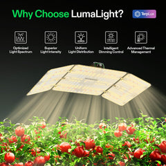 VIVOSUN close-up of LED array highlighting mixed white, red, blue diodes for balanced spectrum