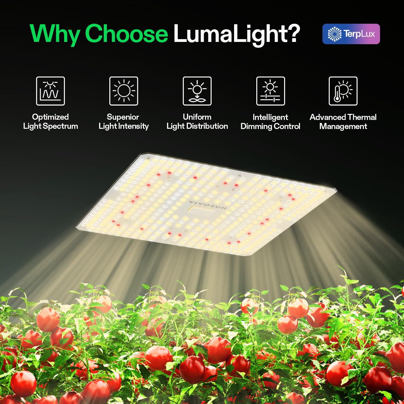 VIVOSUN close-up of LED array revealing diode layout and concentrated PAR delivery benefit