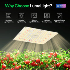 VIVOSUN close-up of LED array revealing diode layout and concentrated PAR delivery benefit