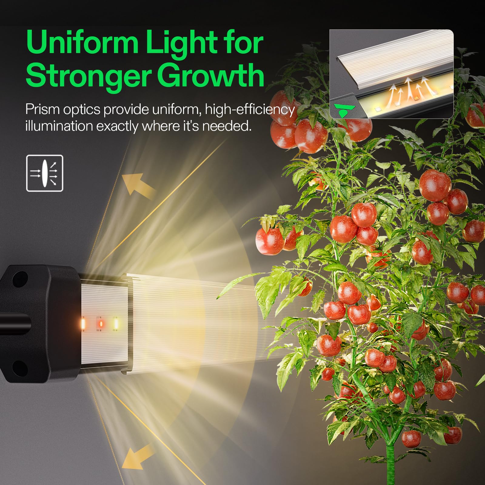 VIVOSUN bars mounted in a grow tent improving lower canopy light