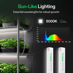 VIVOSUN mounted over seedling trays providing uniform growth light