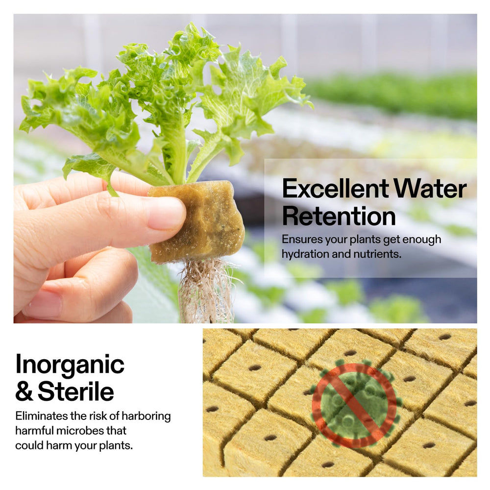 VIVOSUN plug hole detail with ready-to-insert seedling benefit