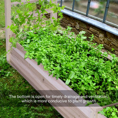VIVOSUN close-up of trellis detail demonstrating sturdy wood support for climbing plants