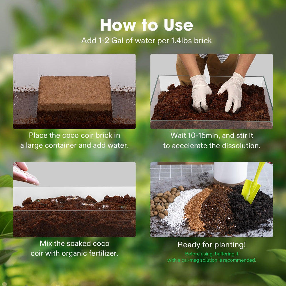 VIVOSUN pot with seedling in coir-amended mix demonstrating faster root establishment
