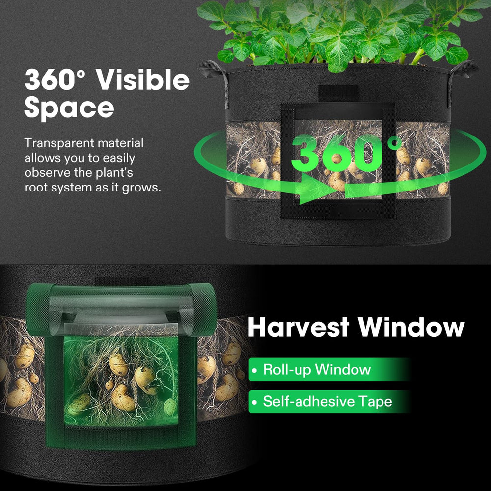 VIVOSUN harvest window open revealing potato roots and easier crop removal