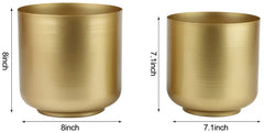 Vixdonos close-up of brass-tone finish highlighting reflective decorative appeal