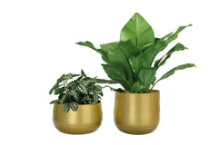 Vixdonos front view of paired brass-toned planters showing elegant decor benefit