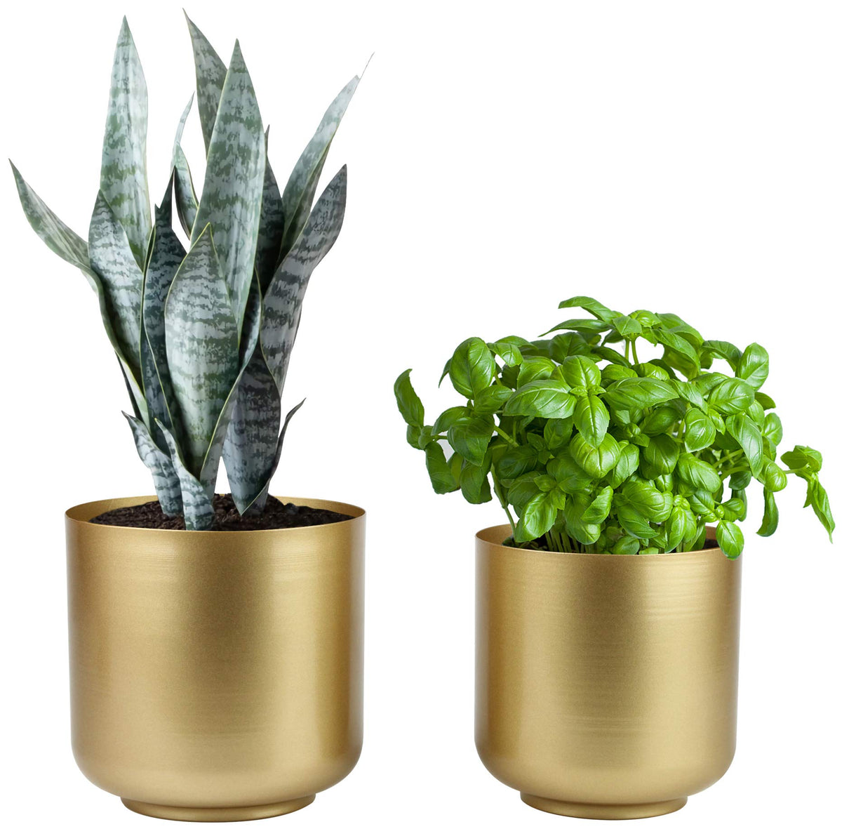 Vixdonos front view of both gold planters showing modern curves and style