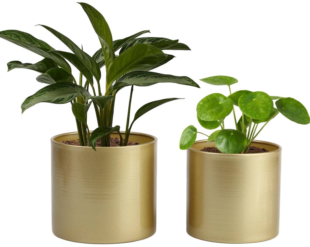 Vixdonos gold metal pots front view, adds modern shine