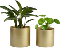 Vixdonos gold metal pots front view, adds modern shine
