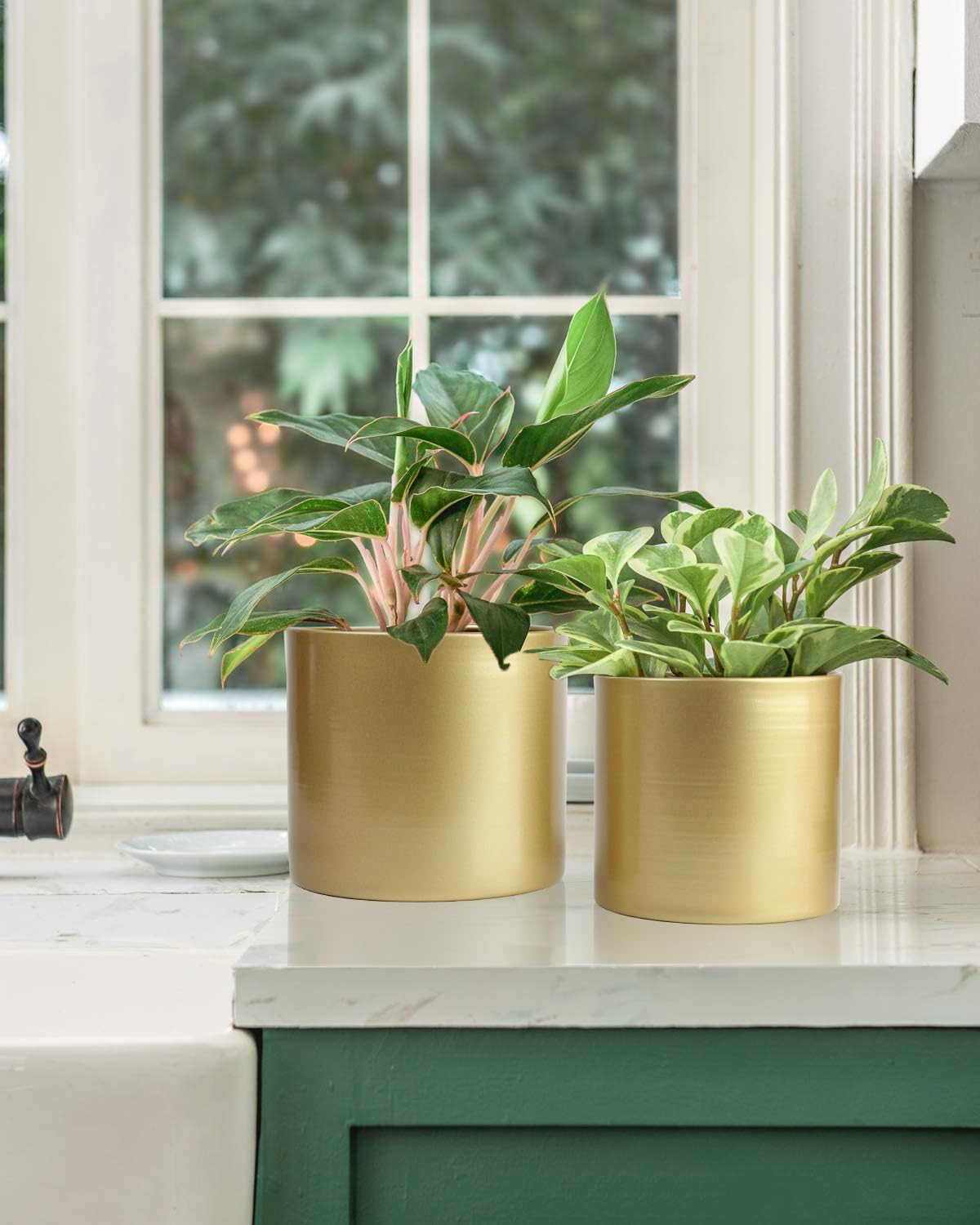 Vixdonos large pot with cactus, stylish indoor accent