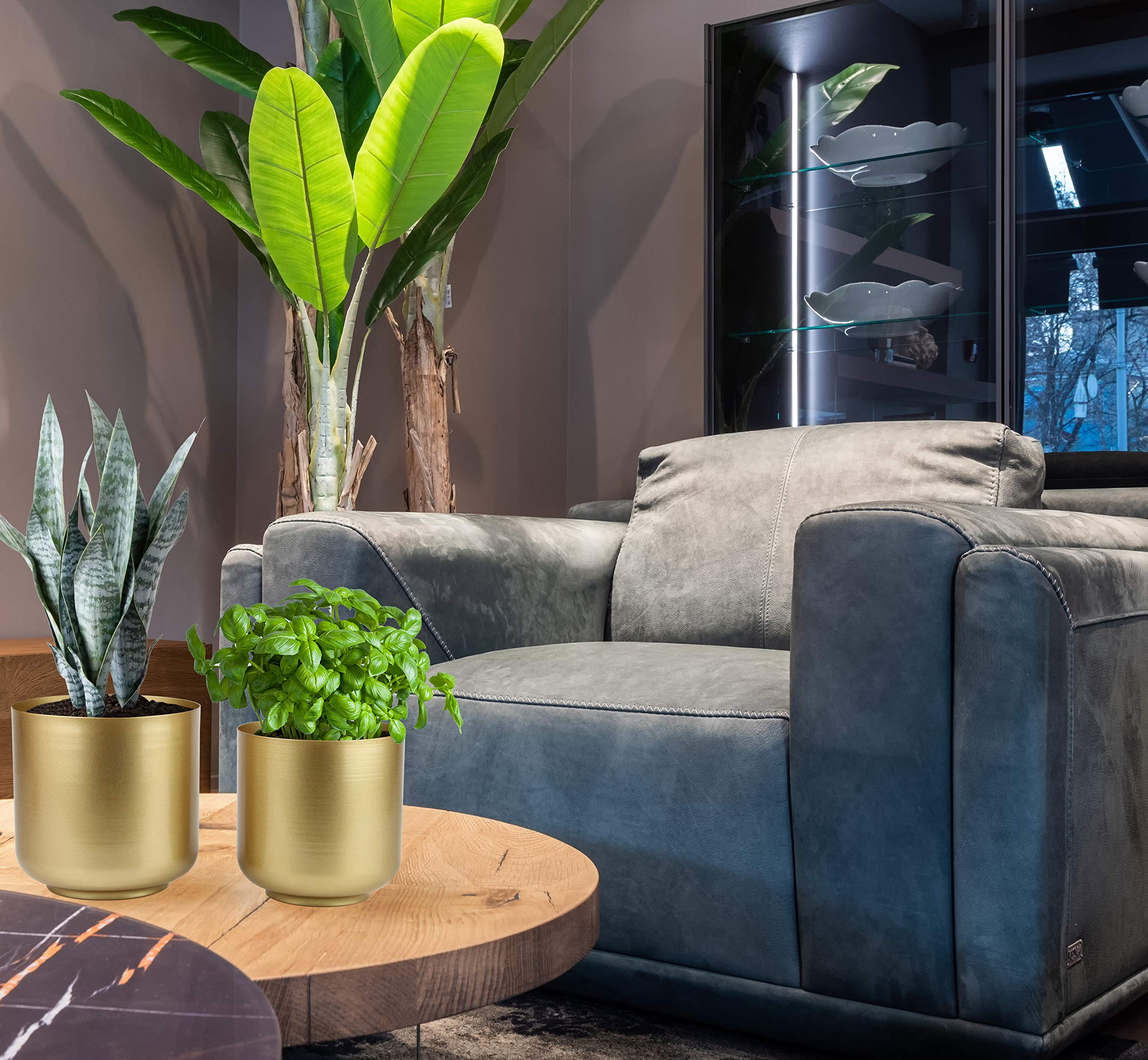 Vixdonos lifestyle scene on windowsill showing natural light and decor benefit