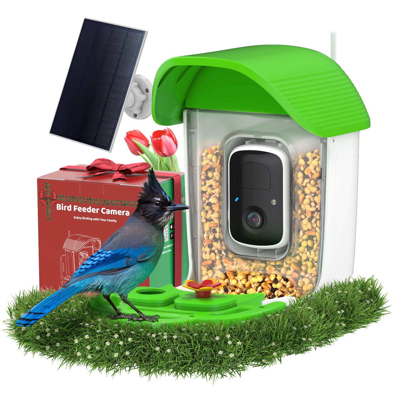 VIZIUUY front view feeder showing camera and perches, attracts more birds