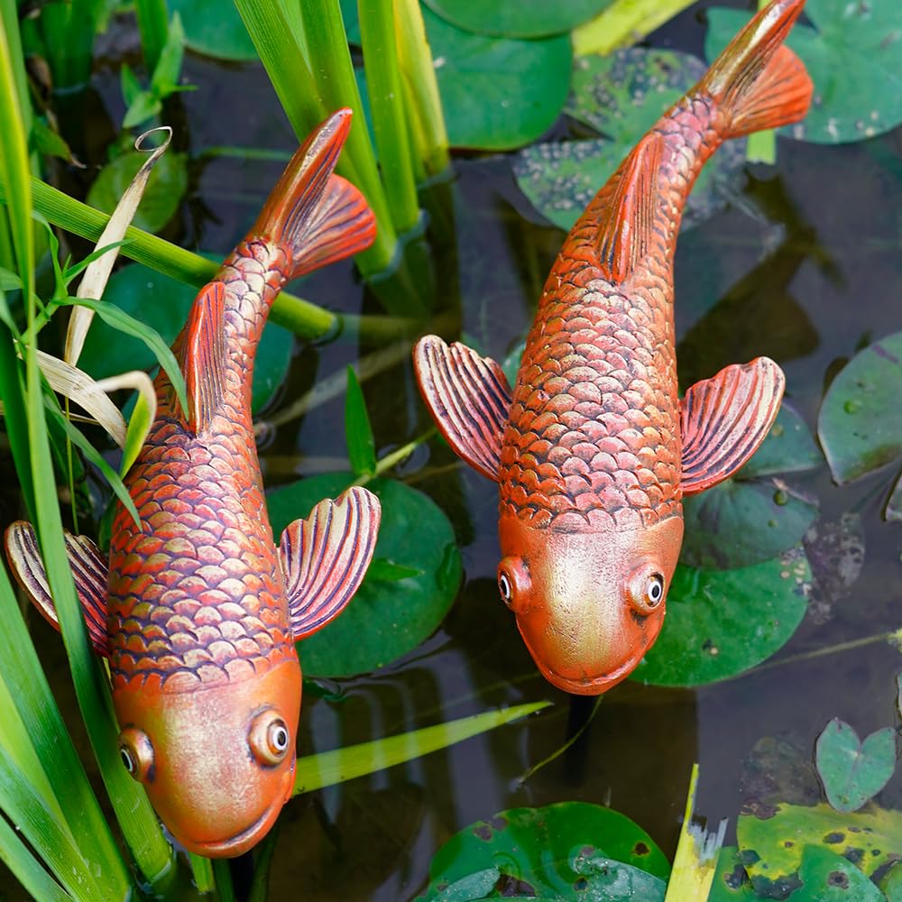 VKEVOC koi placed in flower planter, adds artistic contrast to blooms