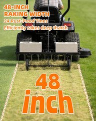 Vlaeng close-up of 24 rust-resistant spring tines removing thatch effectively