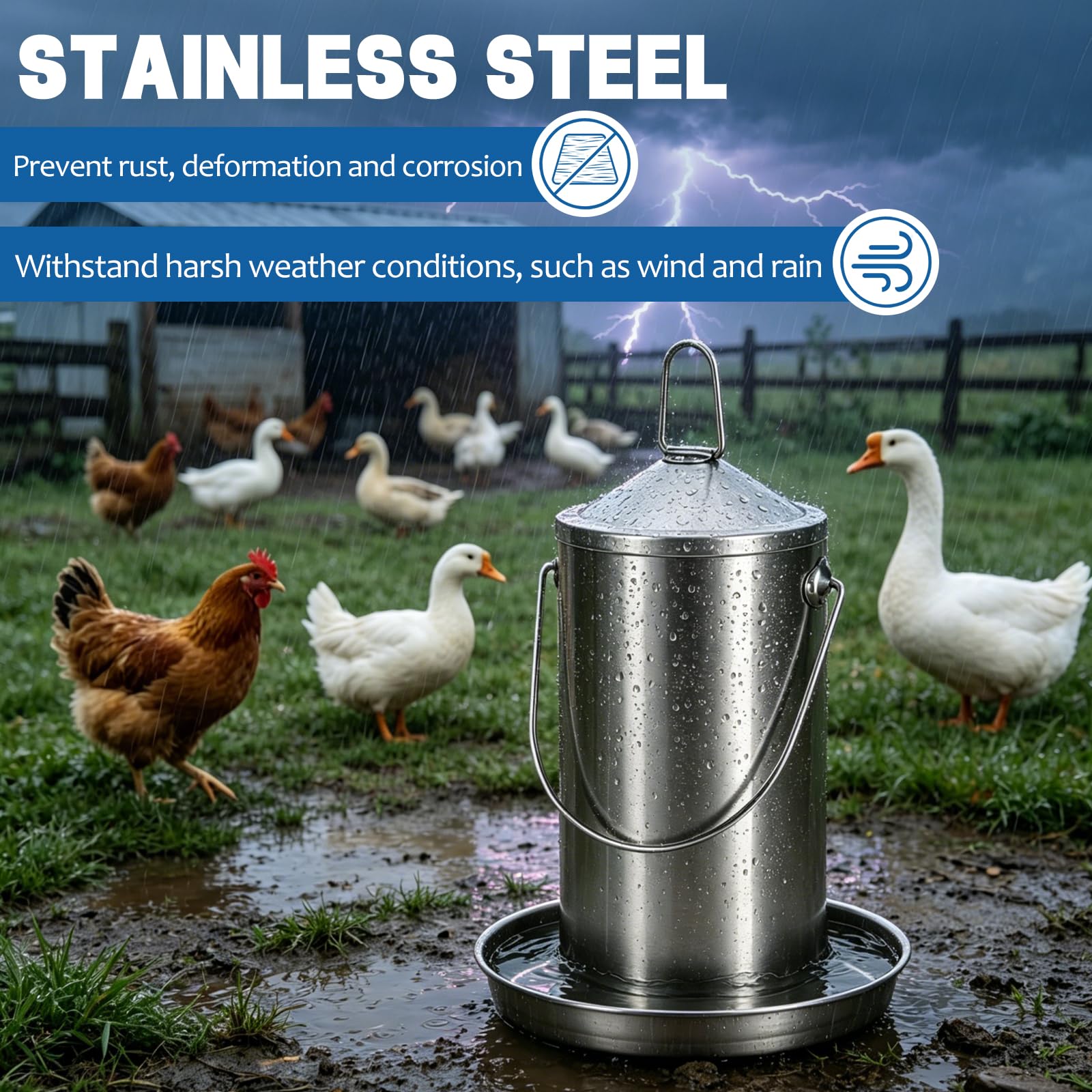 VNHHPCN chickens drinking from the gravity-fed unit in a coop promoting reliable hydration